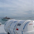 View from Top of Ferry Stitch.jpg
